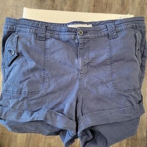 Torrid shorts size 24